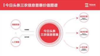 一鍵查詢(xún)農(nóng)產(chǎn)品行情 今日頭條以信息技術(shù)咨詢(xún)服務(wù)提升三農(nóng)信息服務(wù)效率